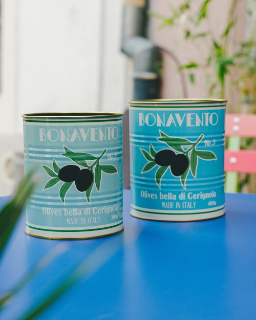 Lot de 2 boîtes de rangement en métal | Peonies Shop