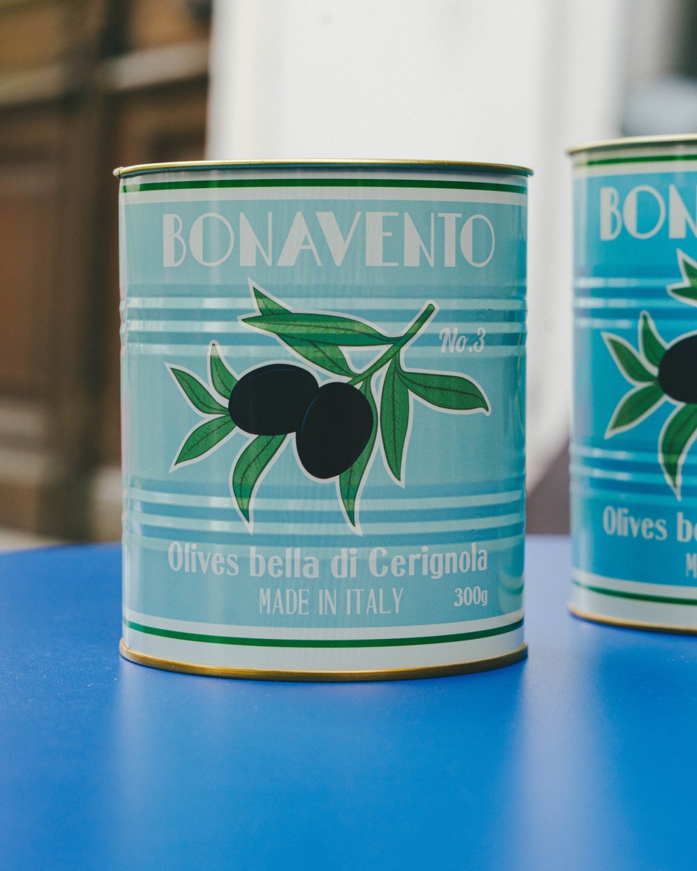 Lot de 2 boîtes de rangement en métal | Peonies Shop