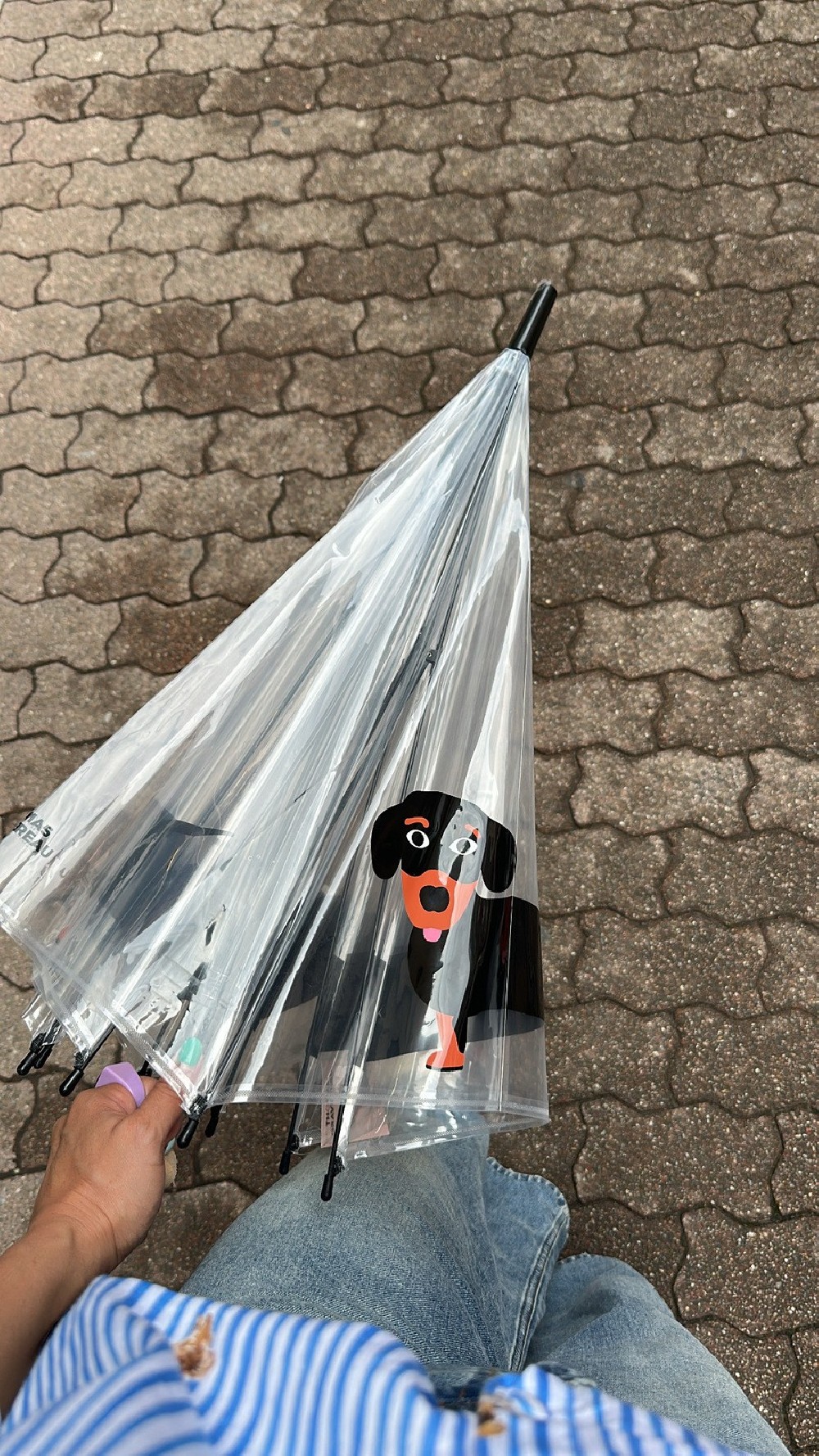 parapluie fermé